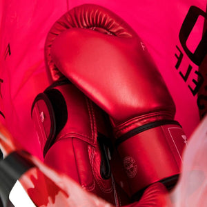 BGV22 METALLIC BOXING GLOVES - Fight Shop