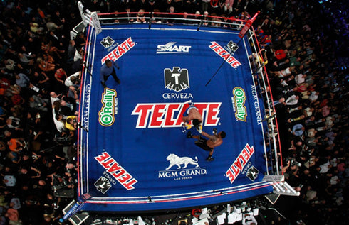 Pro Fight Boxing Ring Rental - Fight Shop