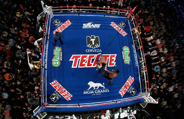 Pro Fight Boxing Ring Rental