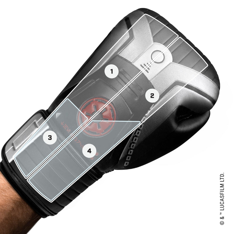 Star Wars Sith Boxing Gloves